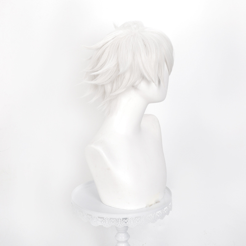 Parrucca Cosplay Anime Witch H - Men Accessories Silver recensione e prezzo